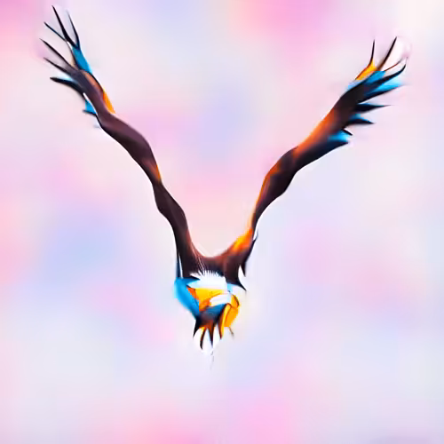 Bald Eagle