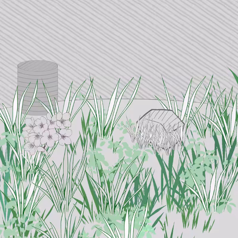 Wild Grass and Rubble #49