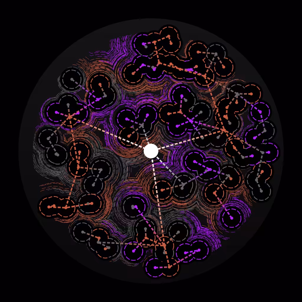 Local Universe #6