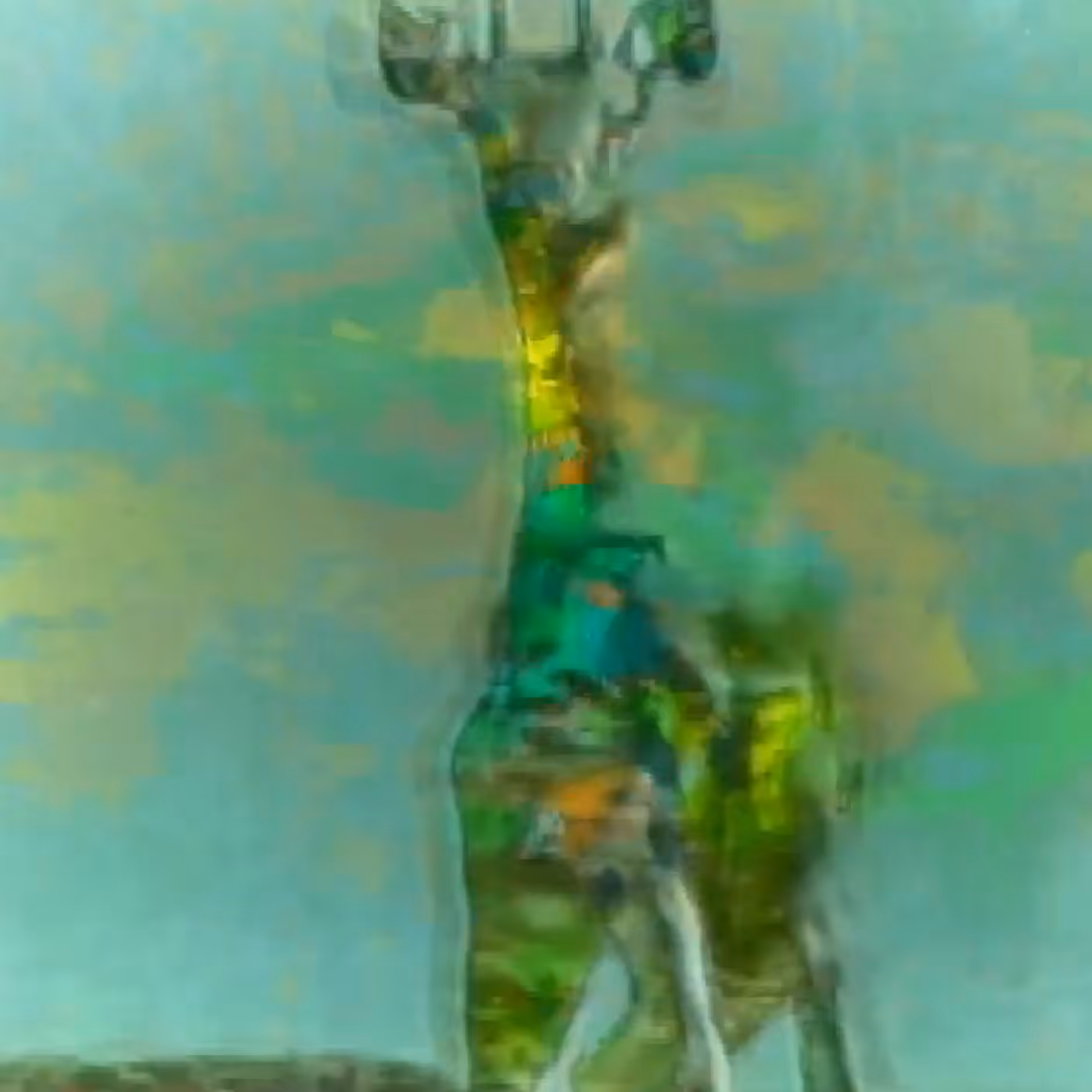 vhs dream 0136