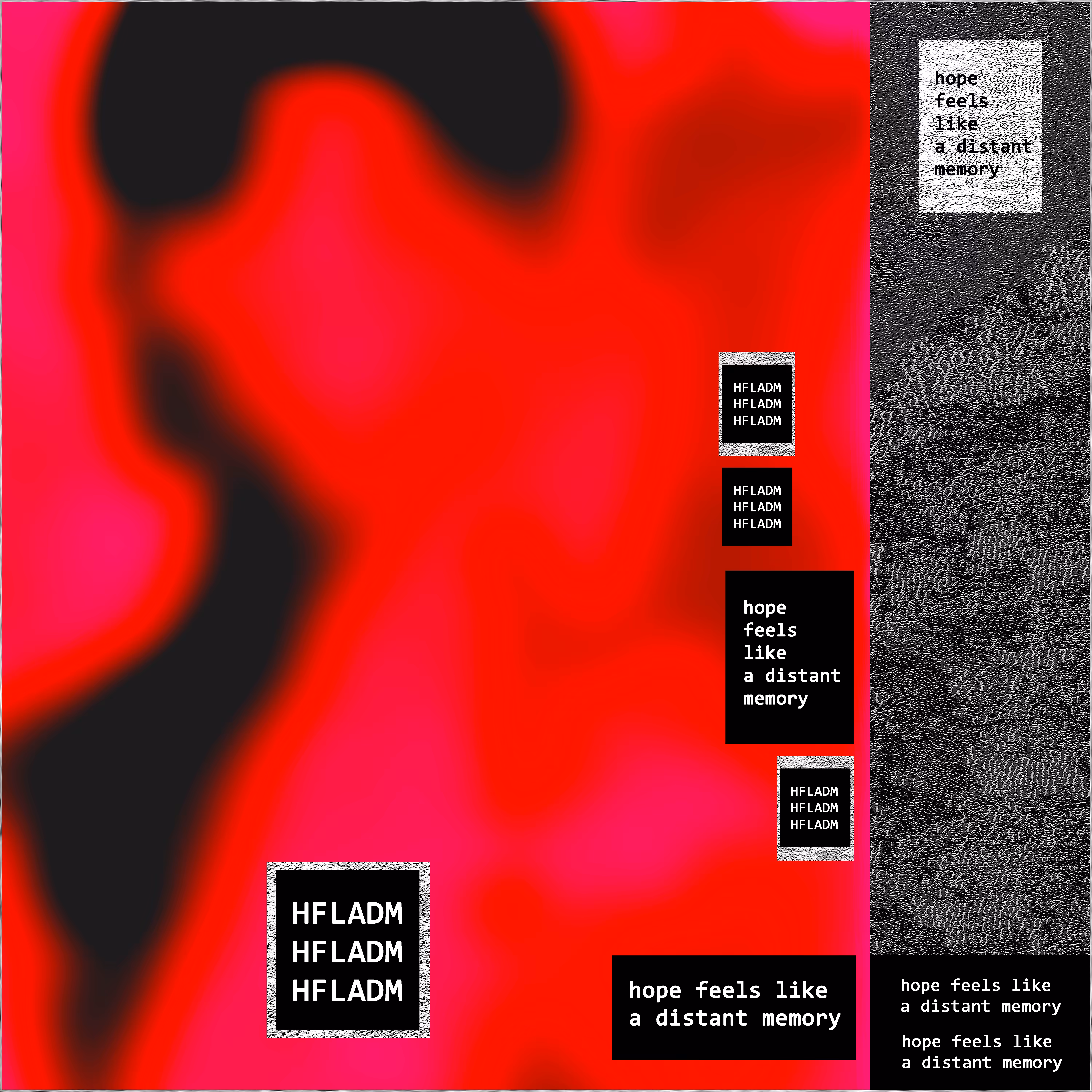 Identity XXXI 