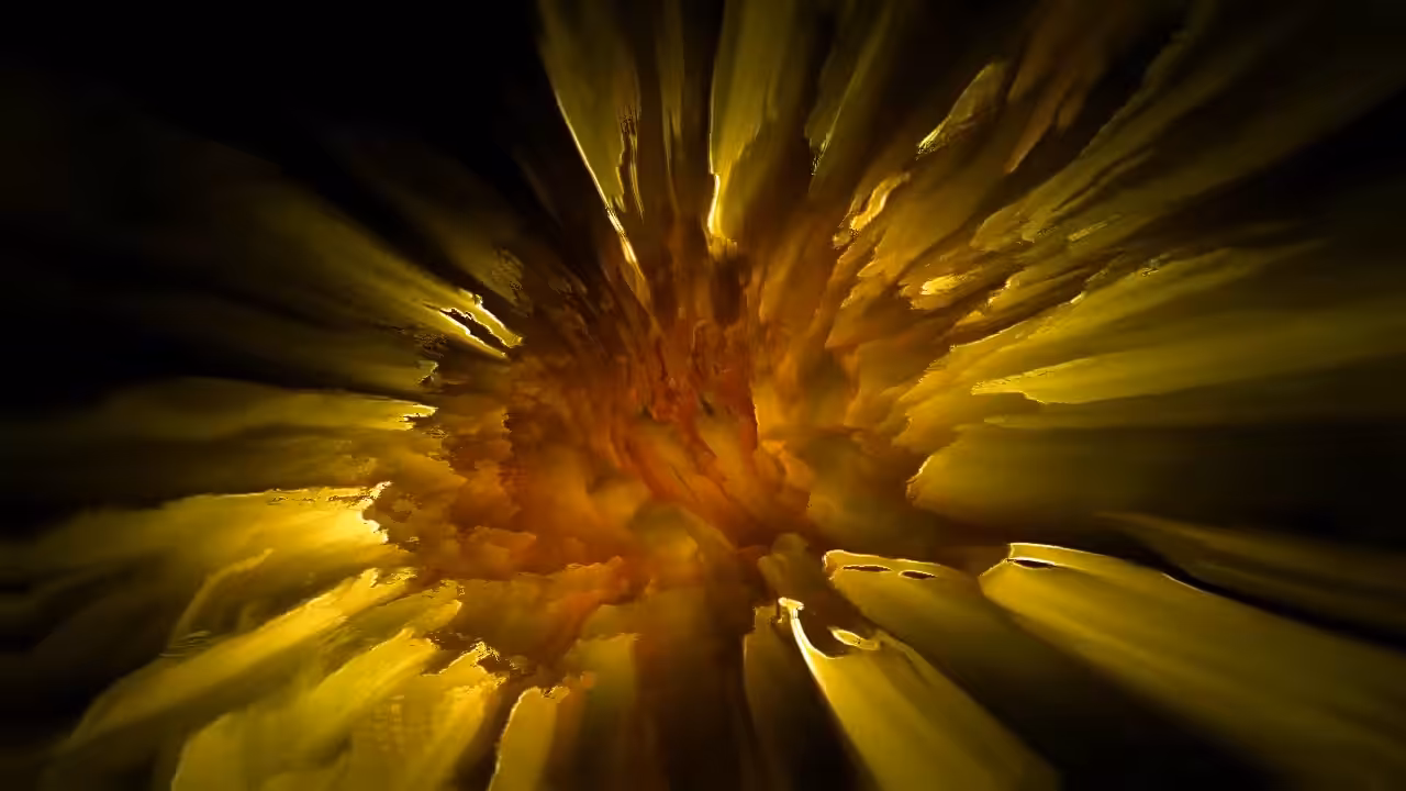 Sun/Flower (Dreaming in Yellow)