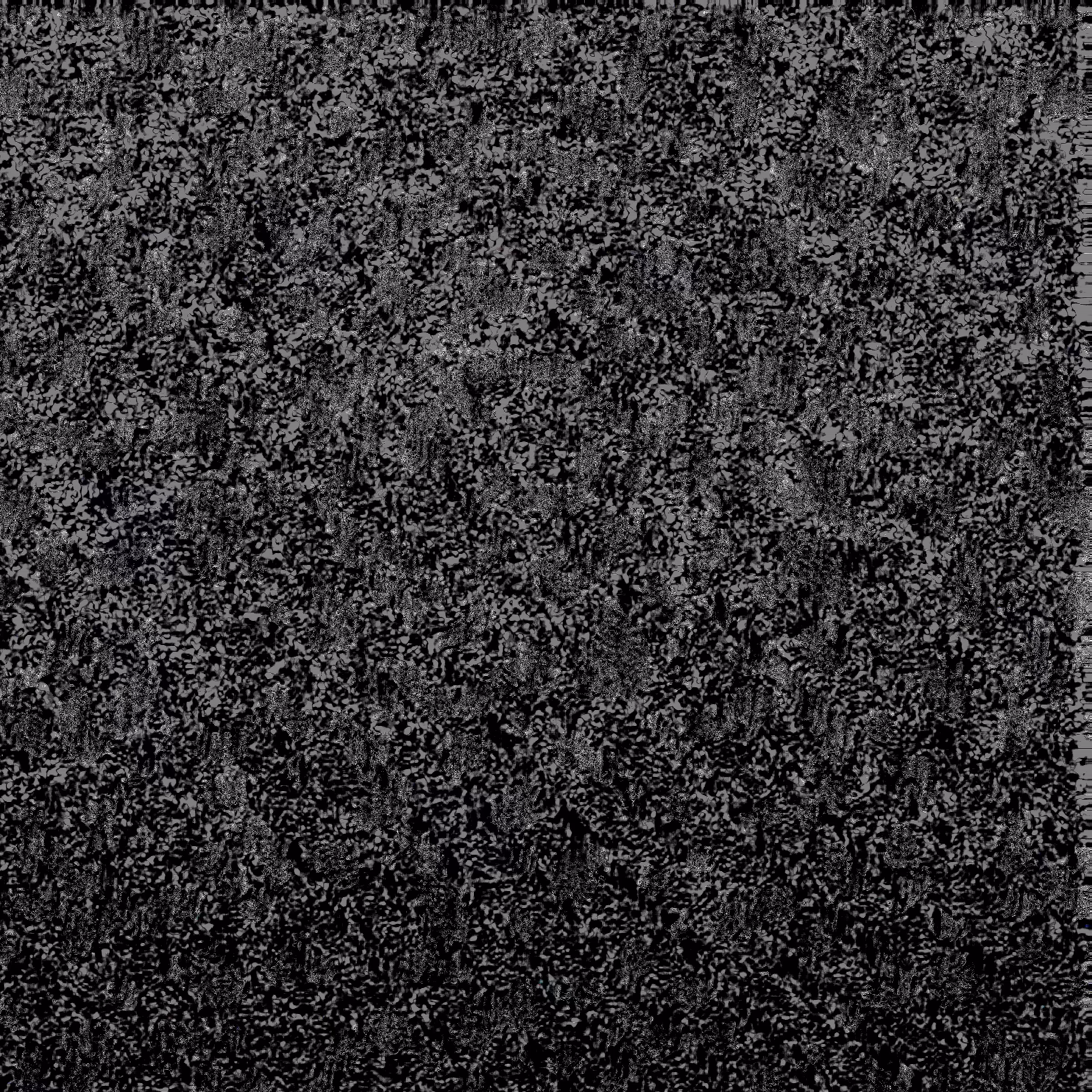 IN NOISE WE TRUST: INWT 40