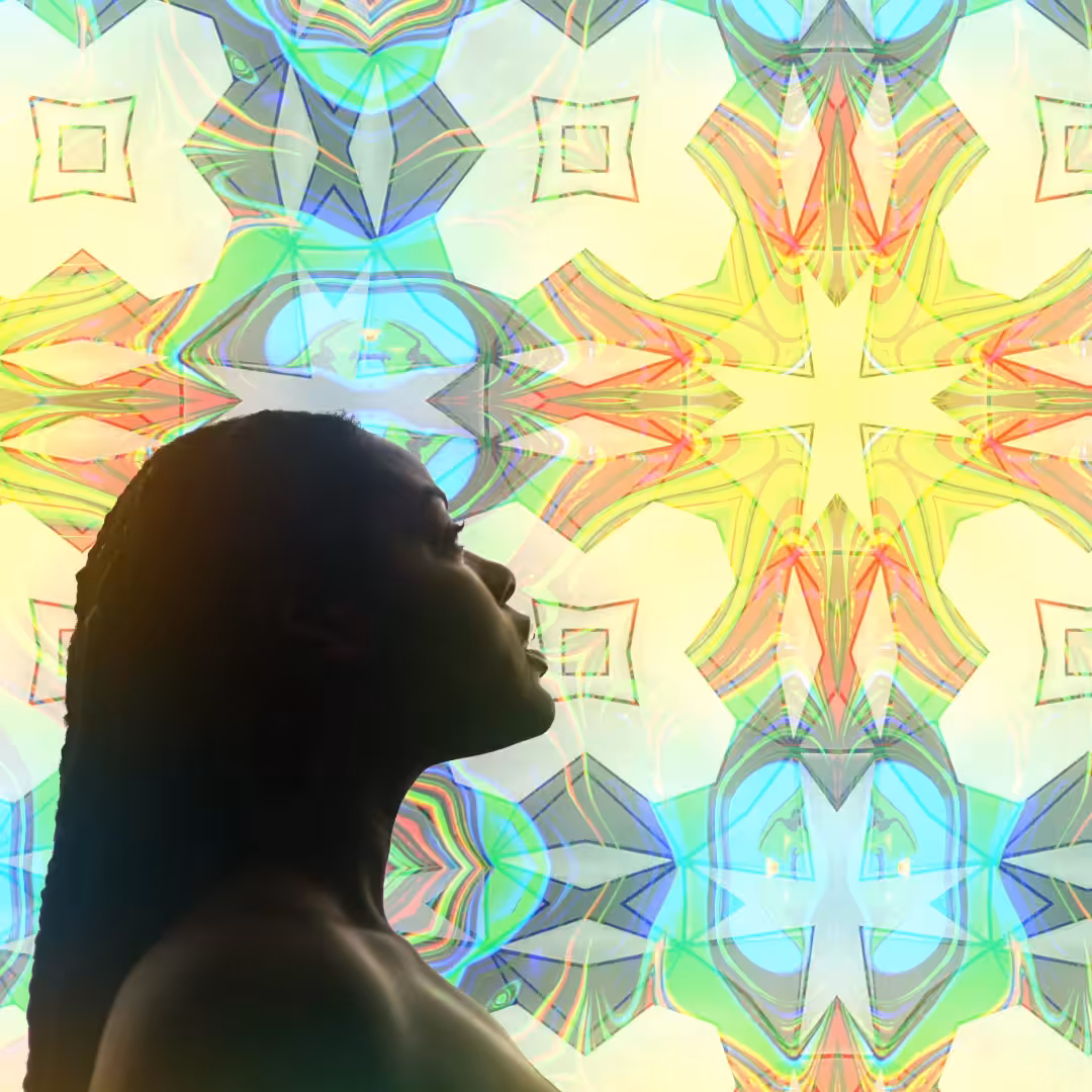 Nubian Vision