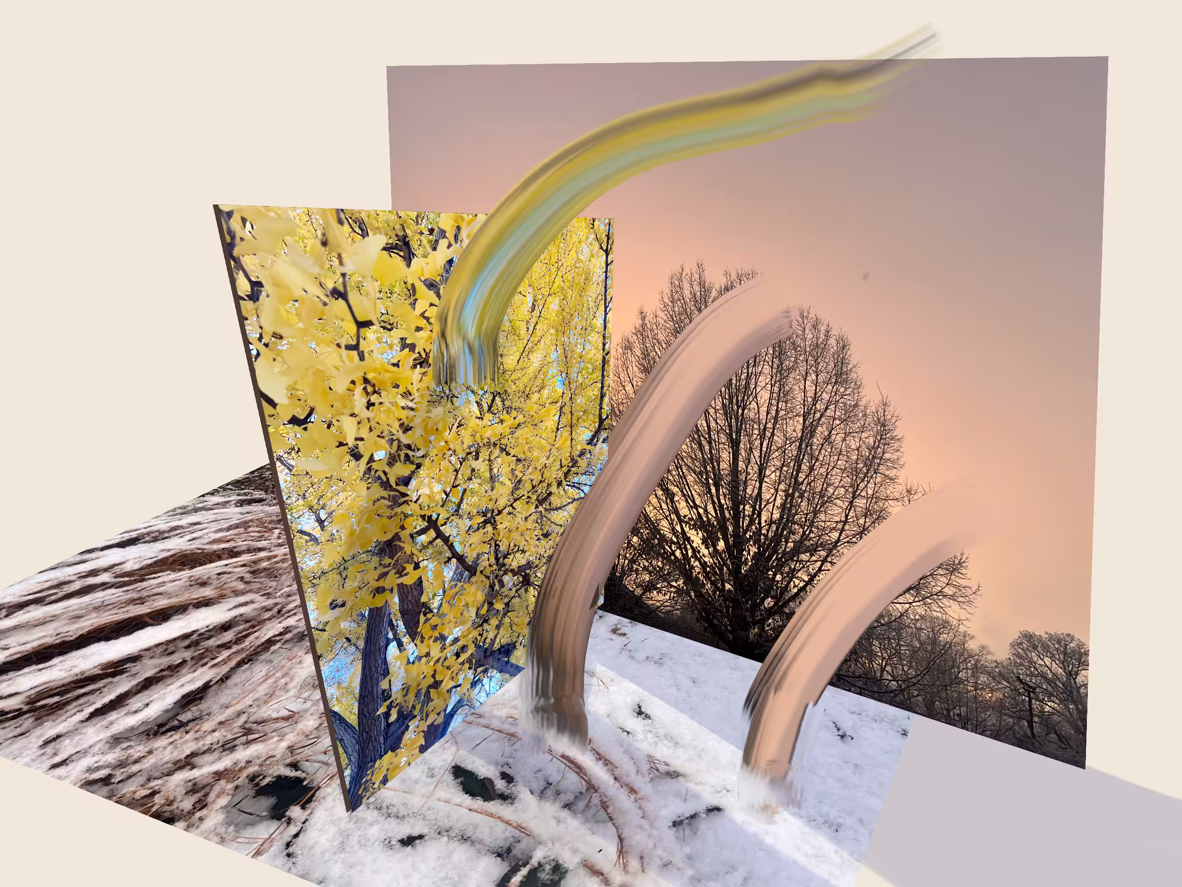 Grass Ginkgo Evening