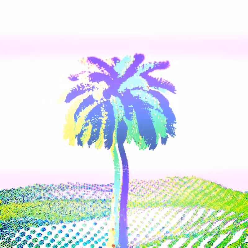 🌴0asis🌴 #13