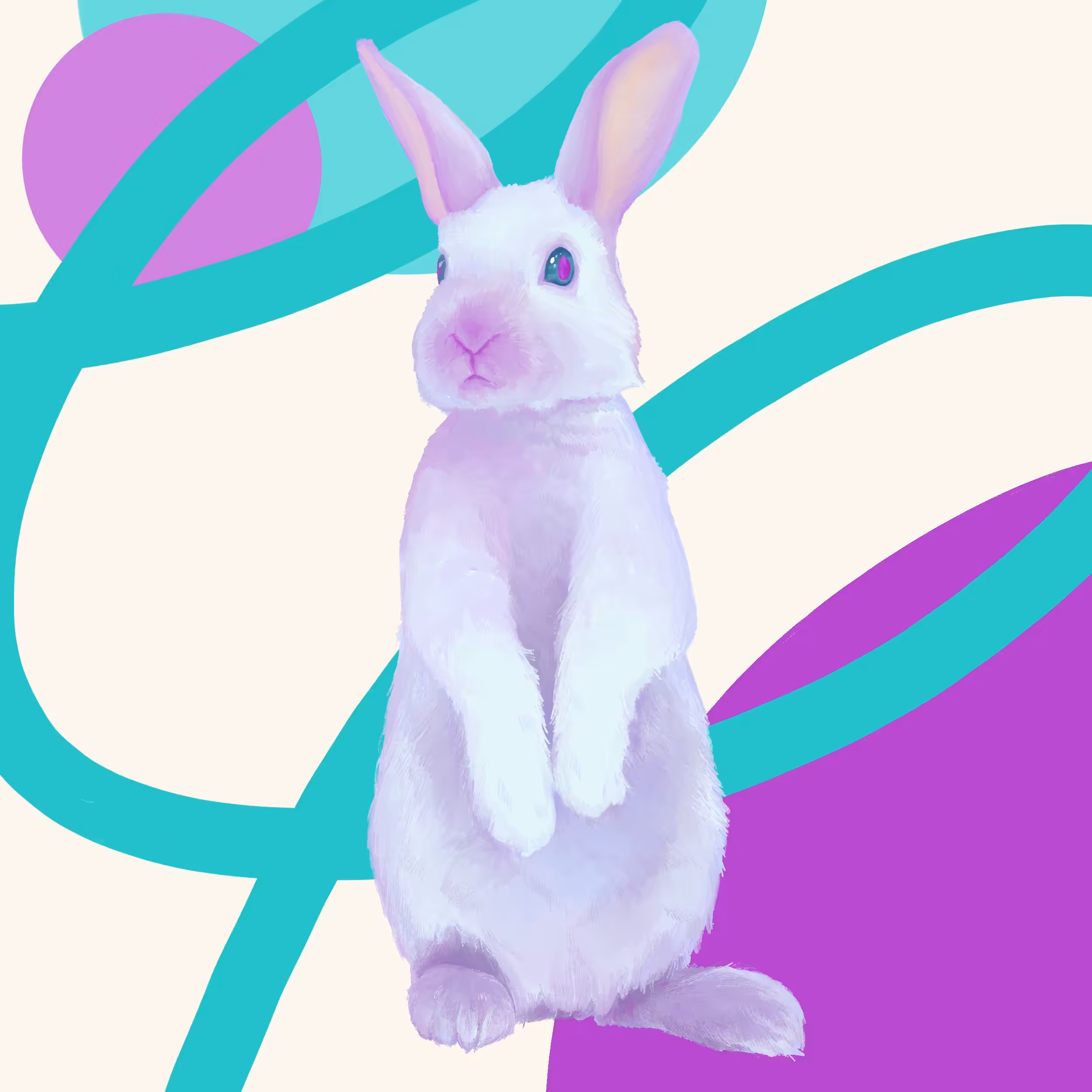 Bunnies