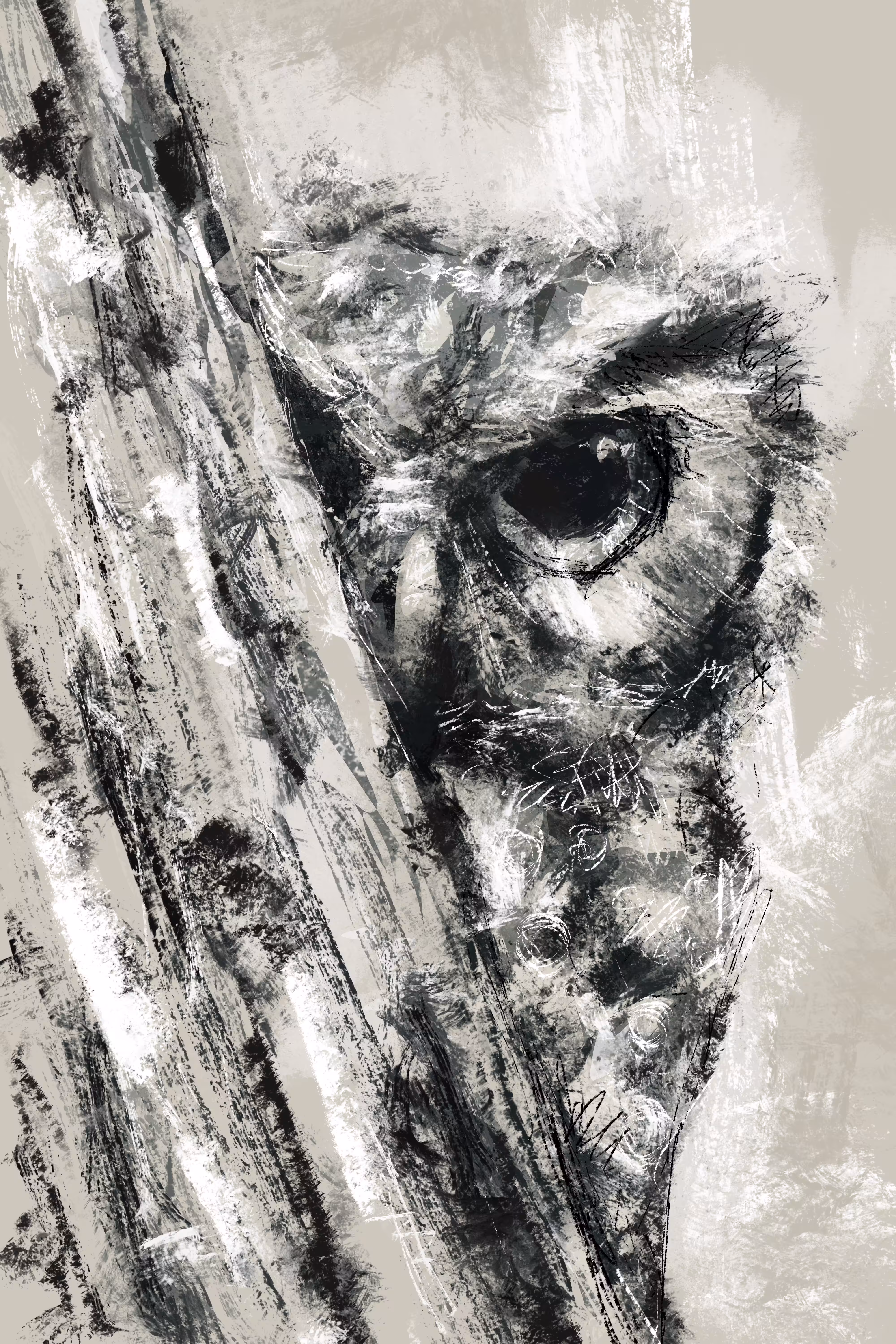Hoot