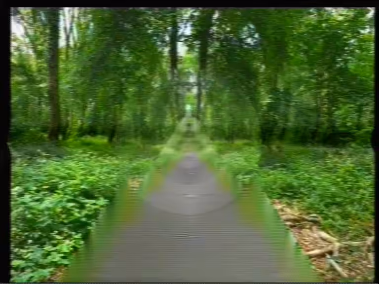 Suffolk Woodland Portal 190808 