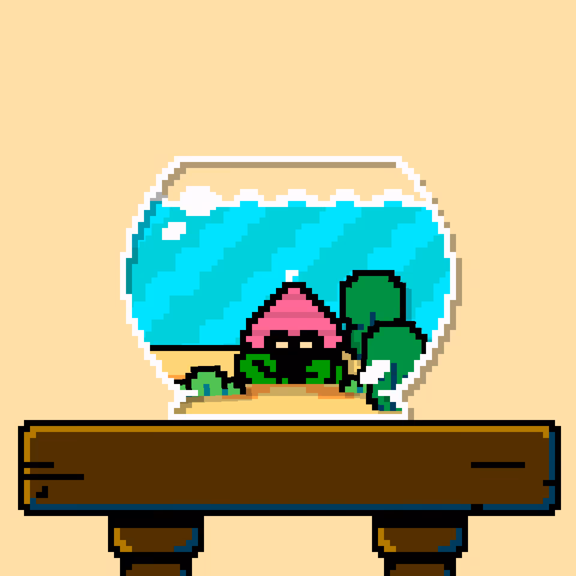 hermit crab #86