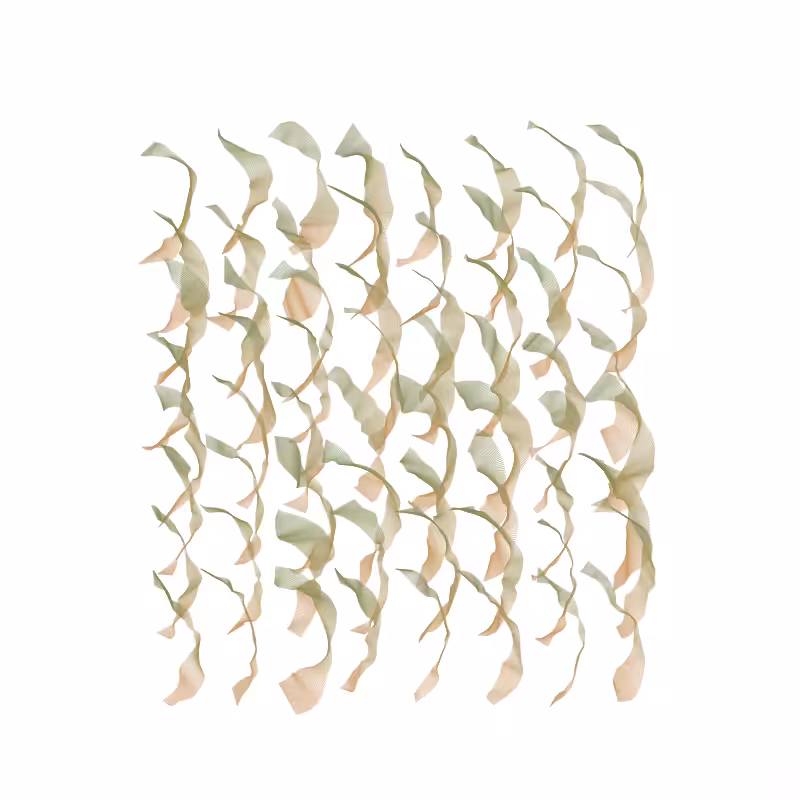 Iribhoni #17