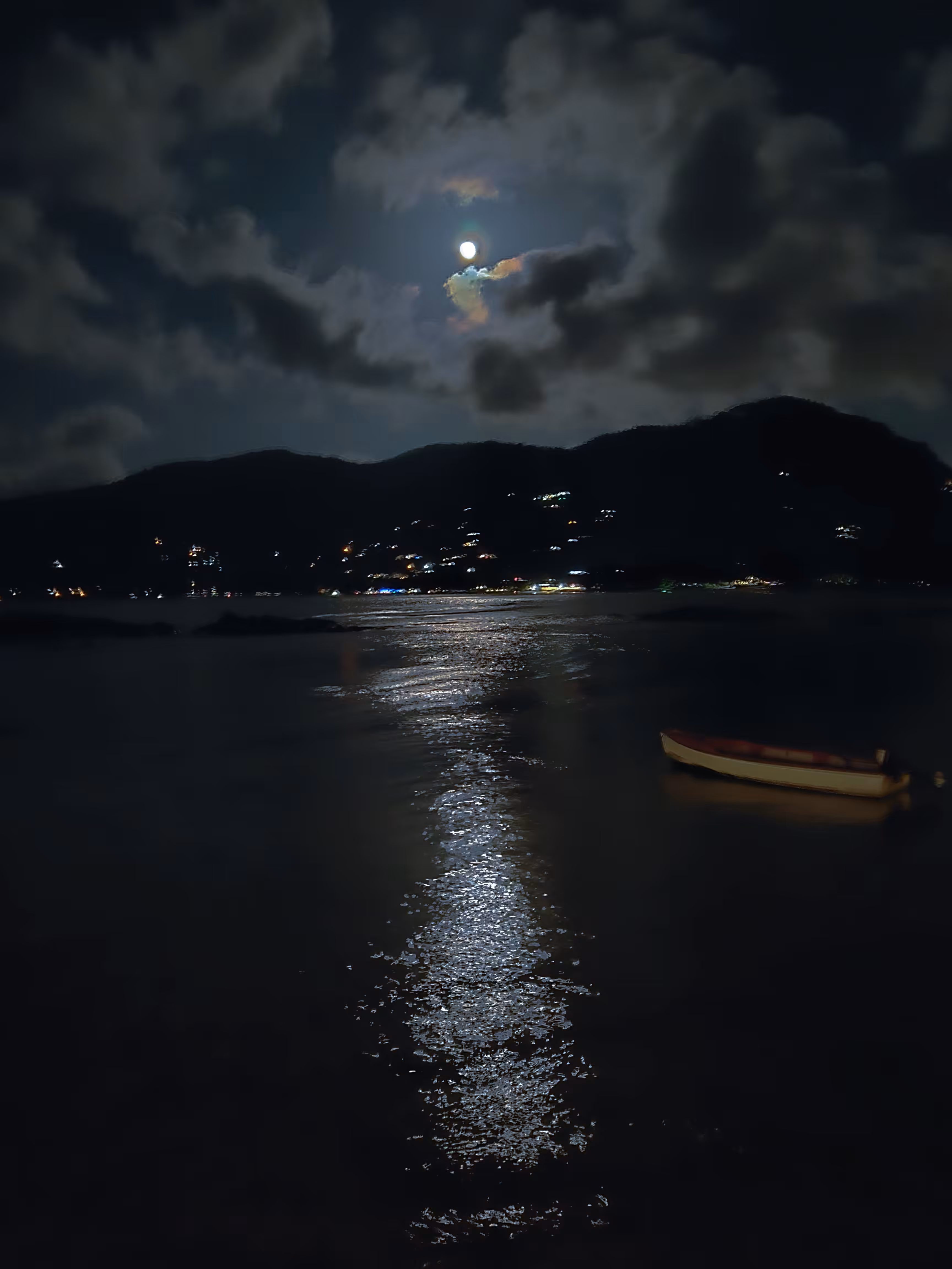 Moonlit Sea