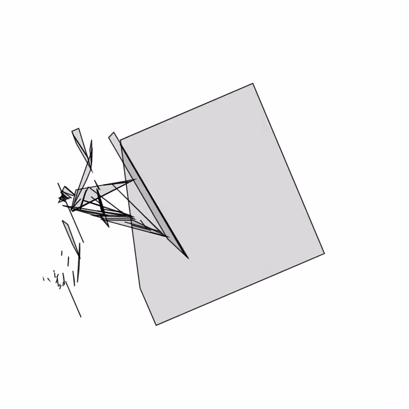 Fracture #268