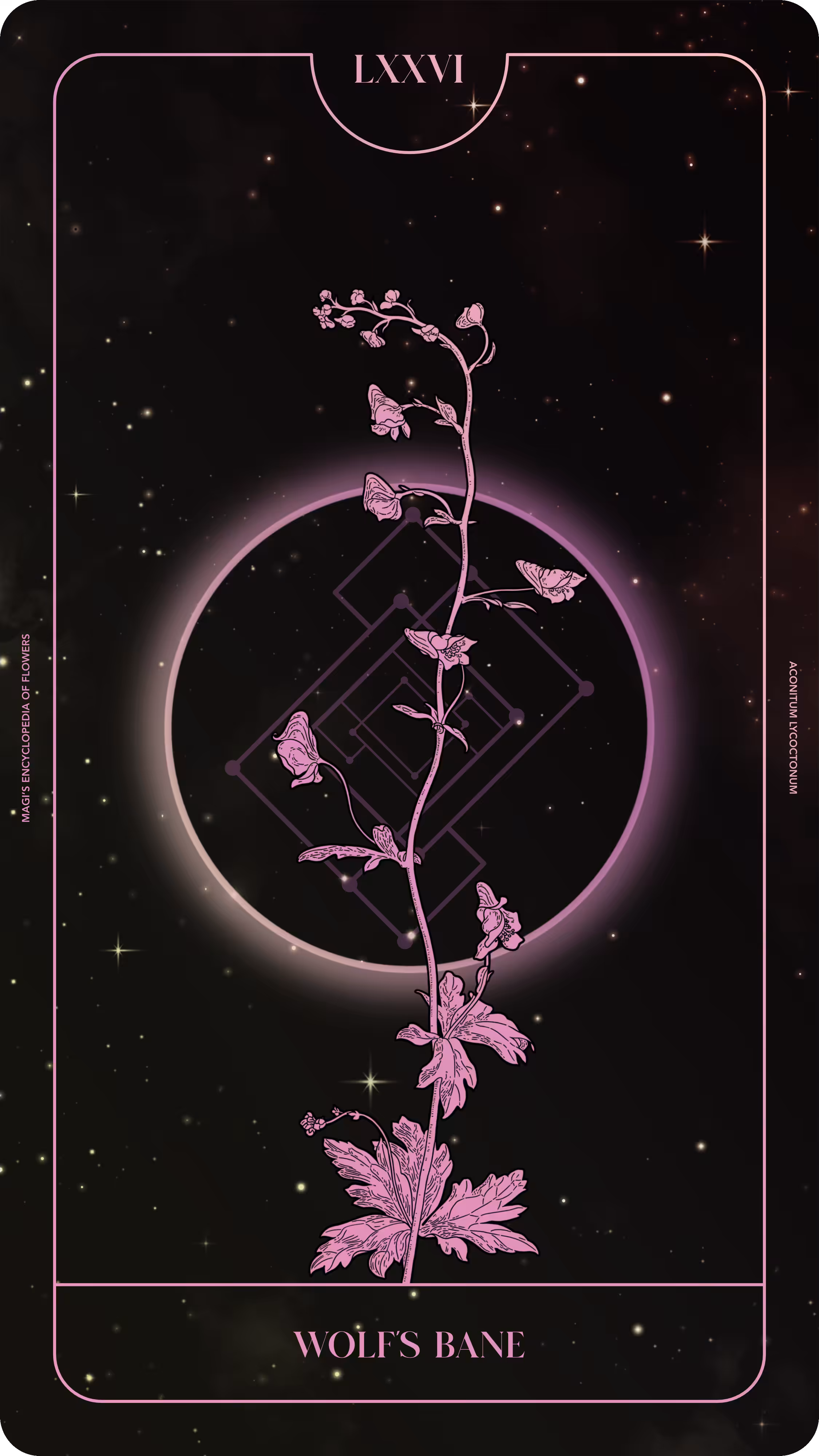 Magi's Encyclopedia of Flowers: 076 Wolf's Bane