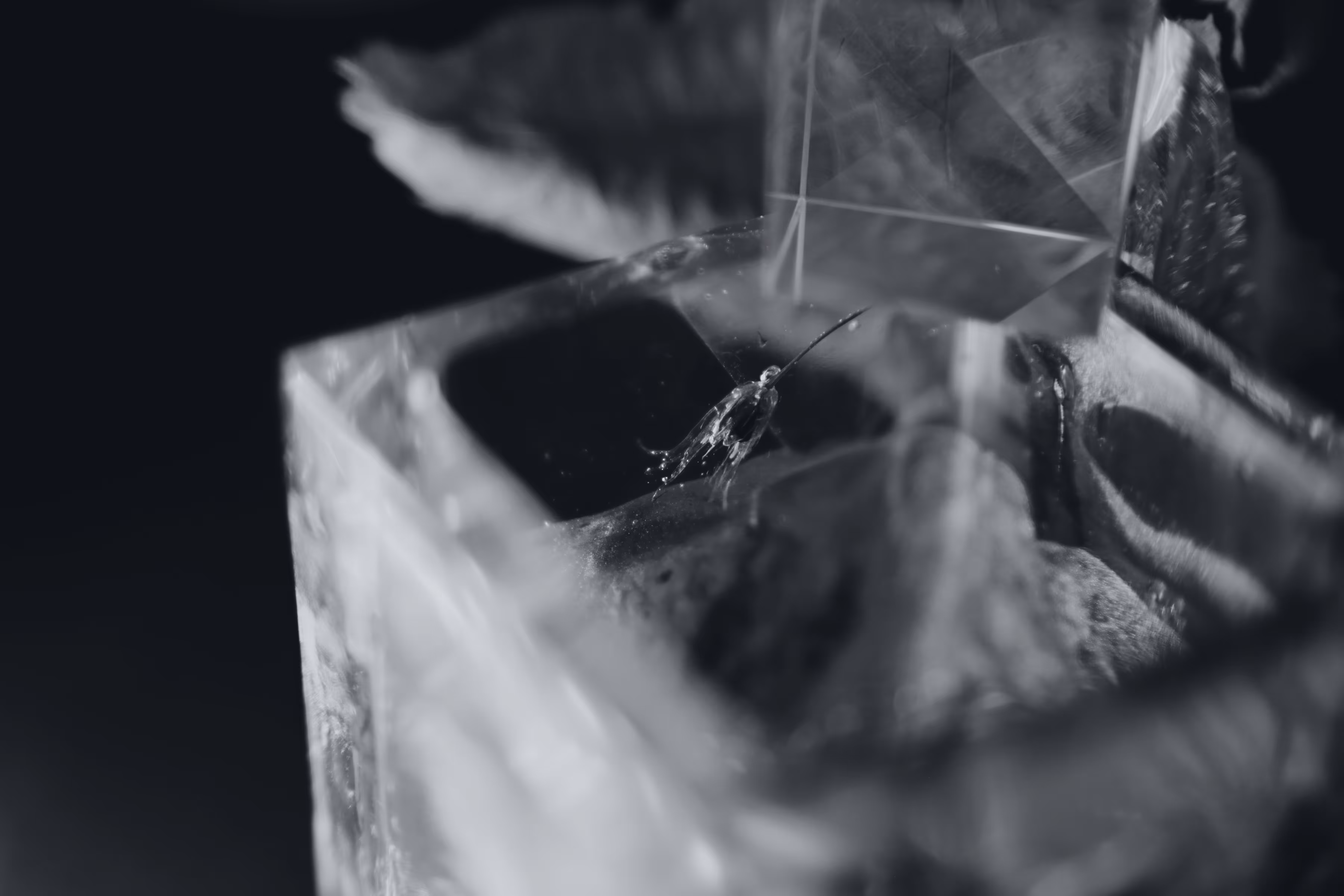 _see through me