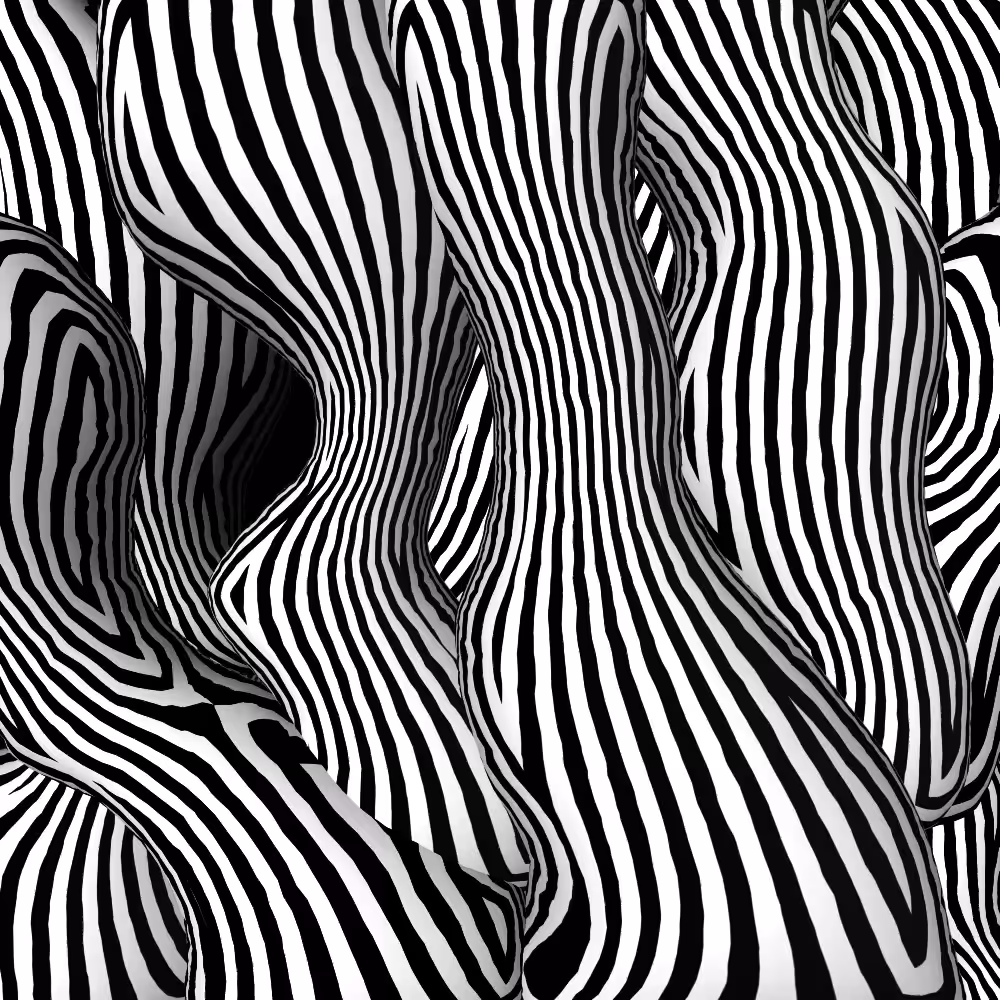 zebra pillars animation