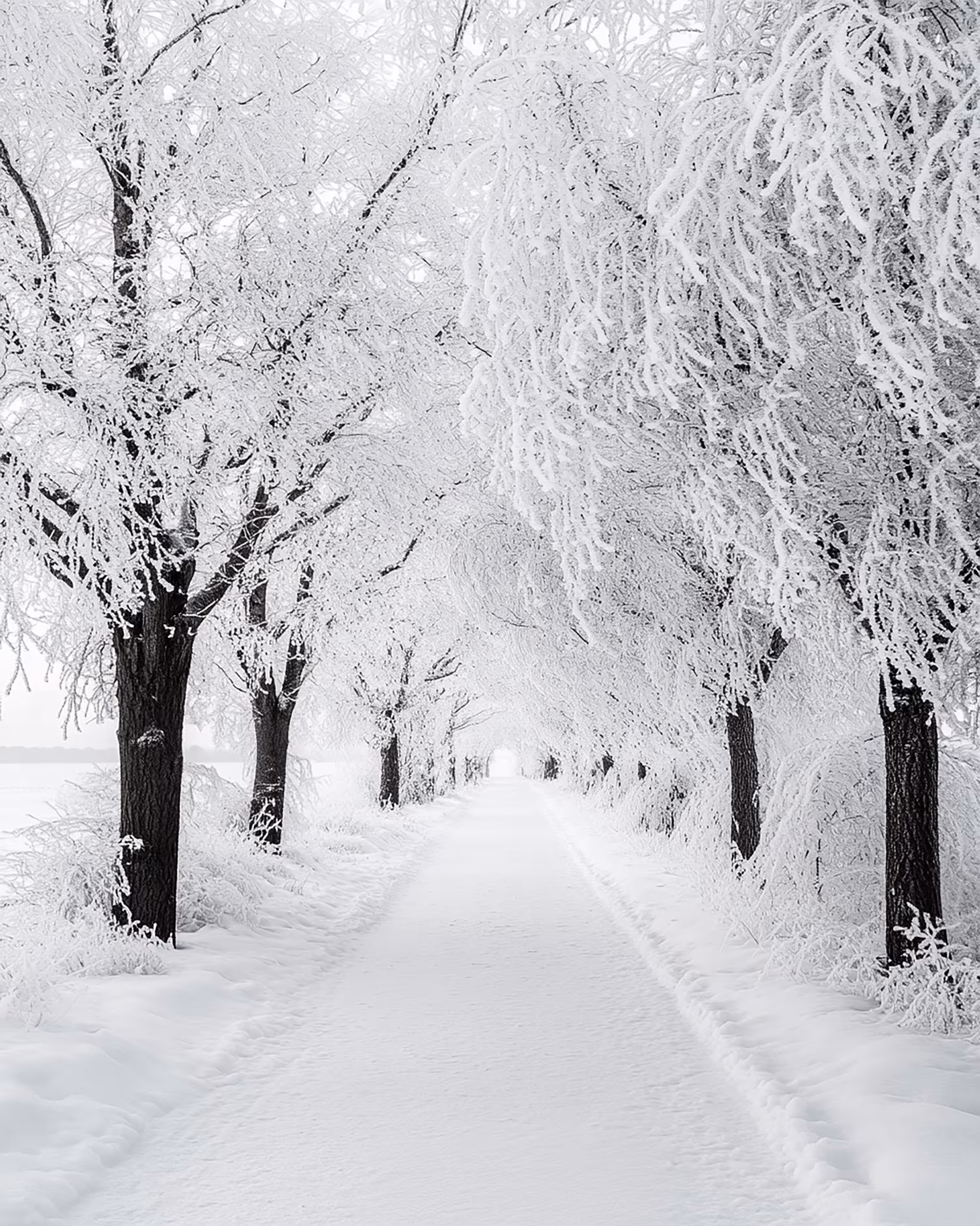 Wintertime .1