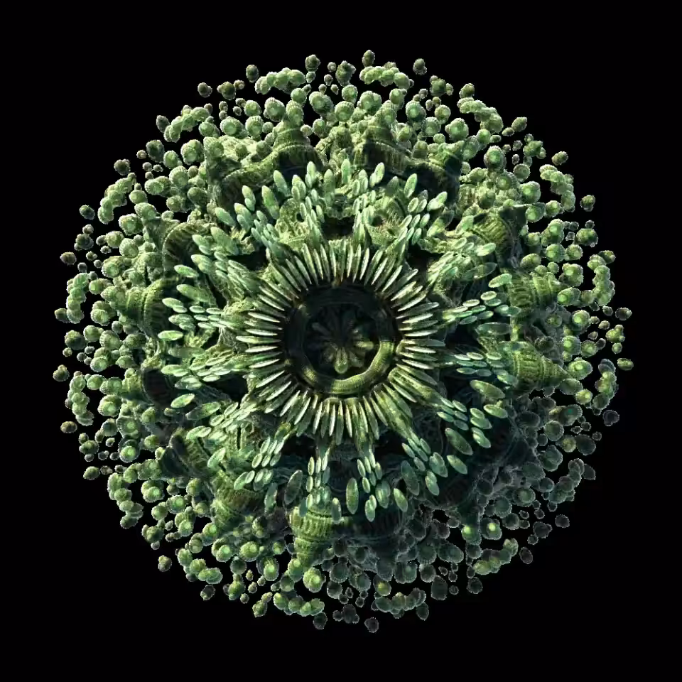 Fractal Loop Hole