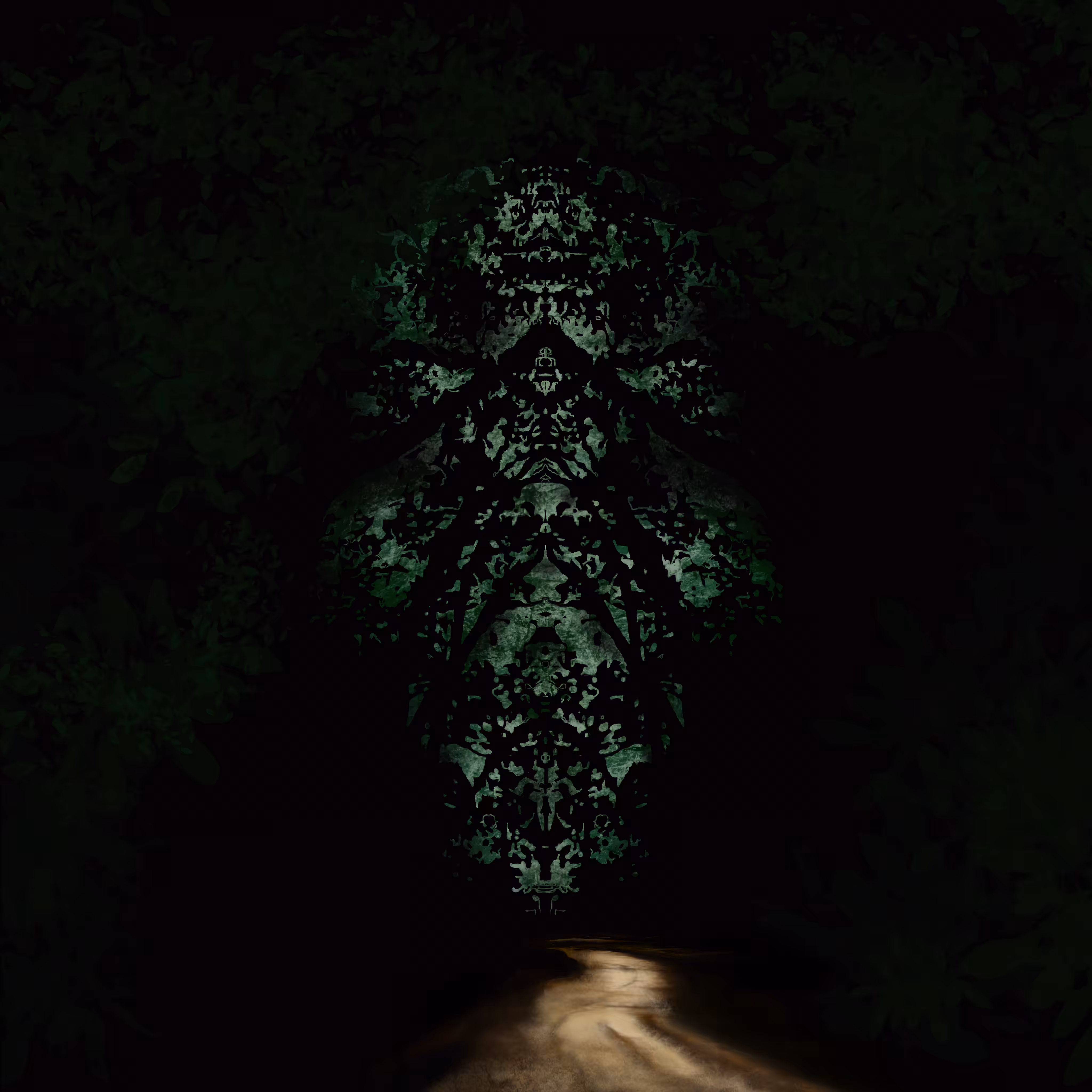  Black Forest 