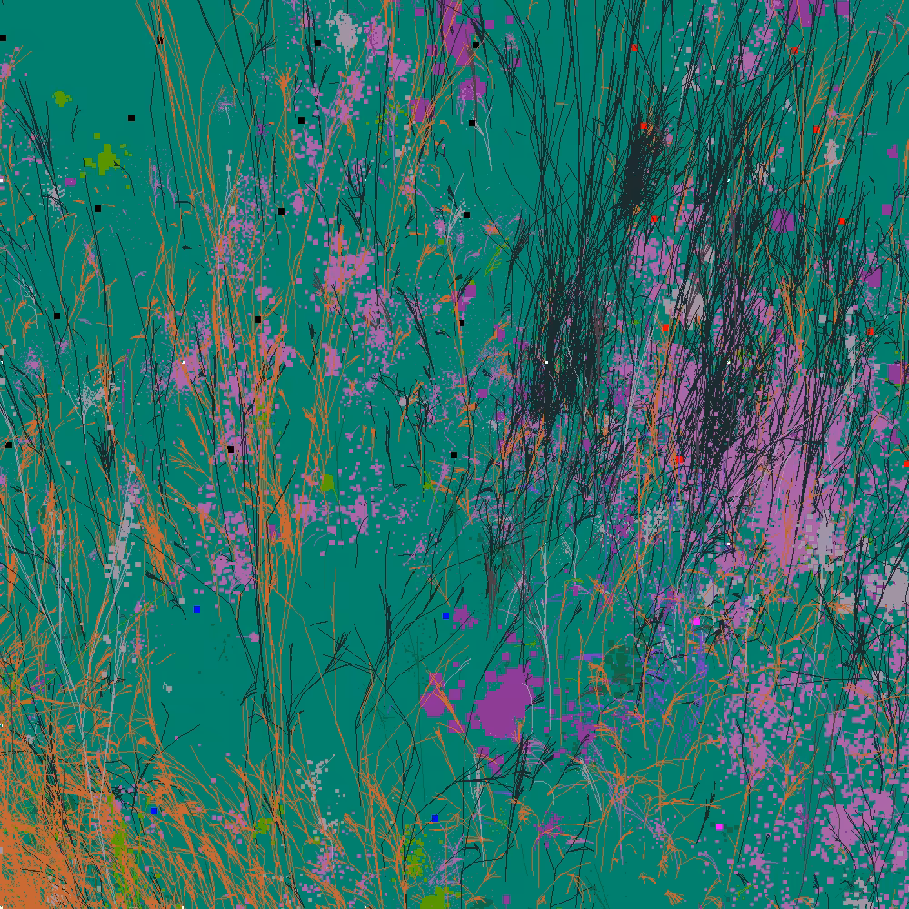 Infinite Garden: 21176 Flowers