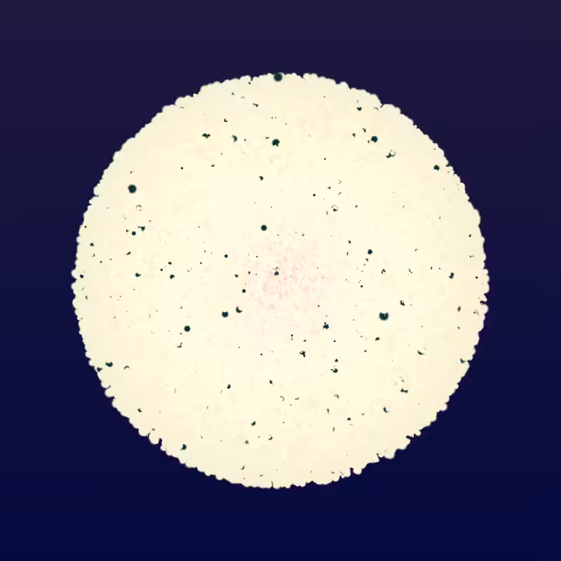 Coalesce #293