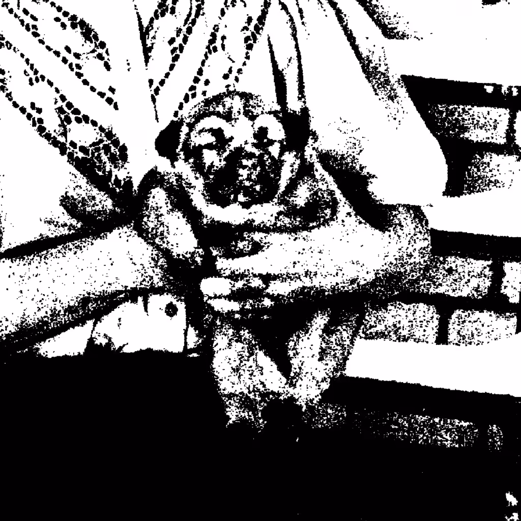 MemoryEntropy Puppy