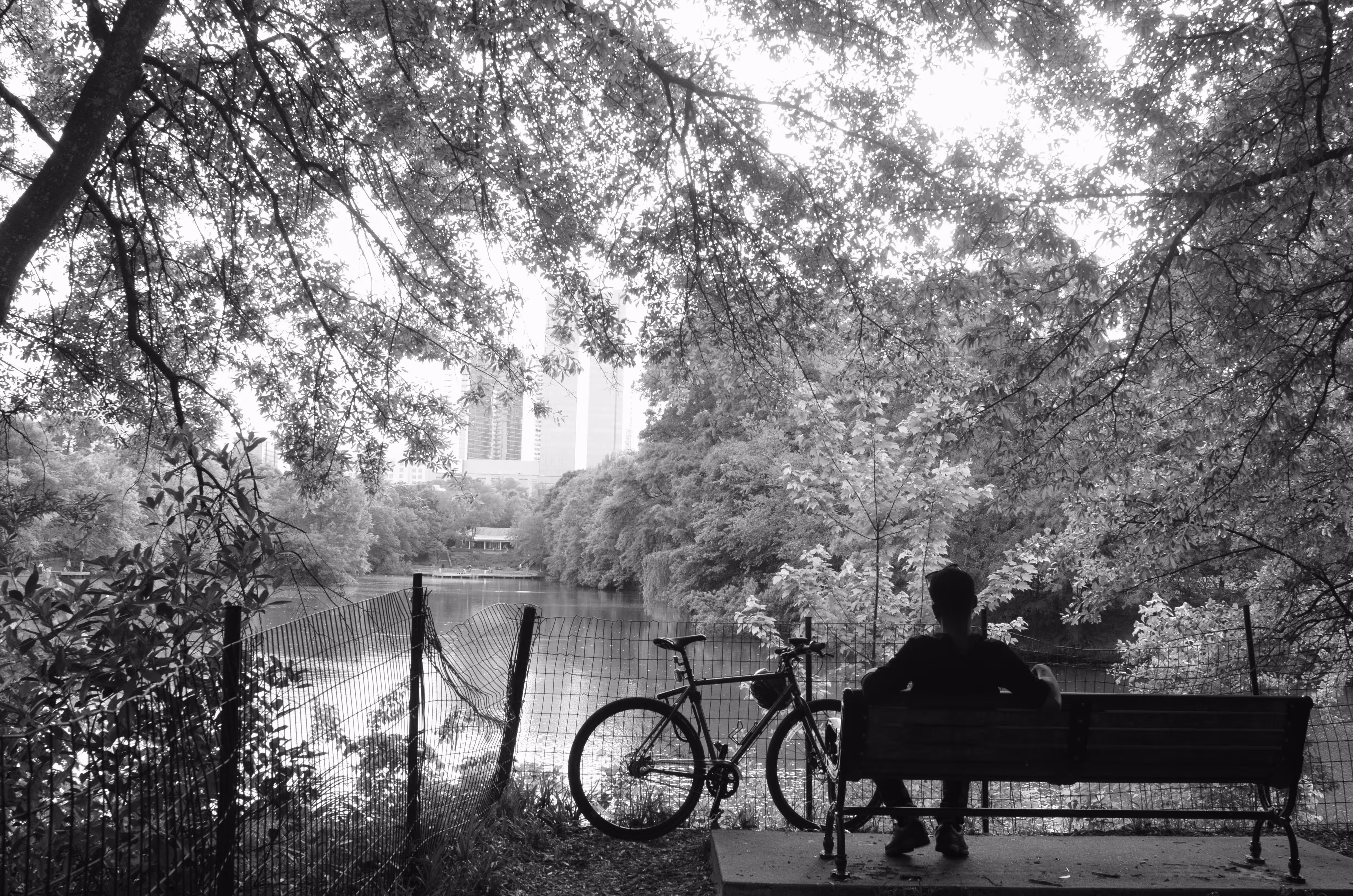 Little Atlanta: The City in a Forest 11