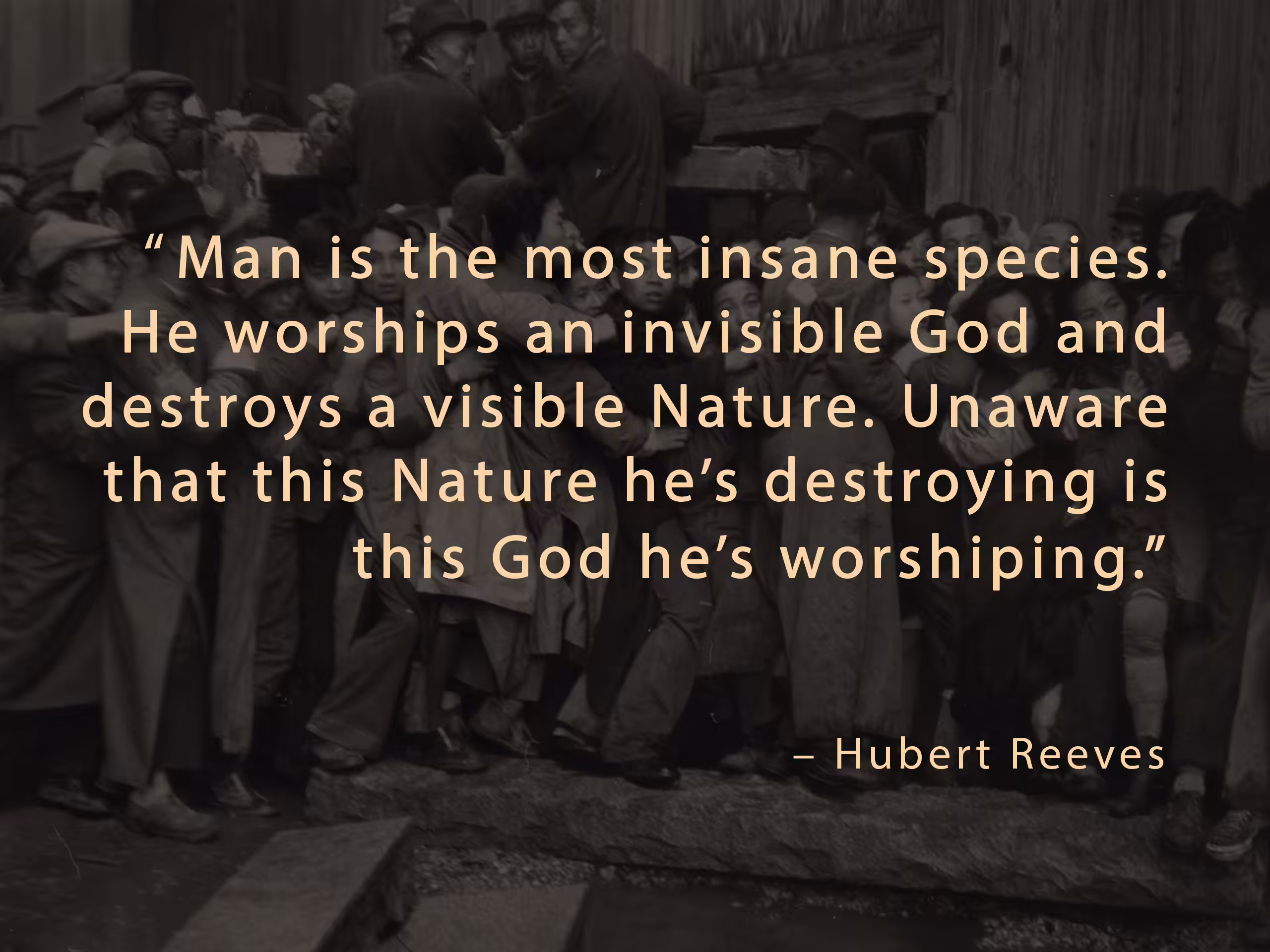 Reeves Quote #1