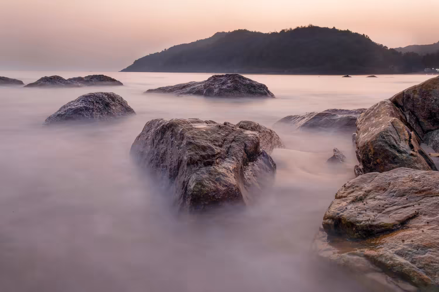 Aesthetics of Motion(Series)-The Crocodile Rock