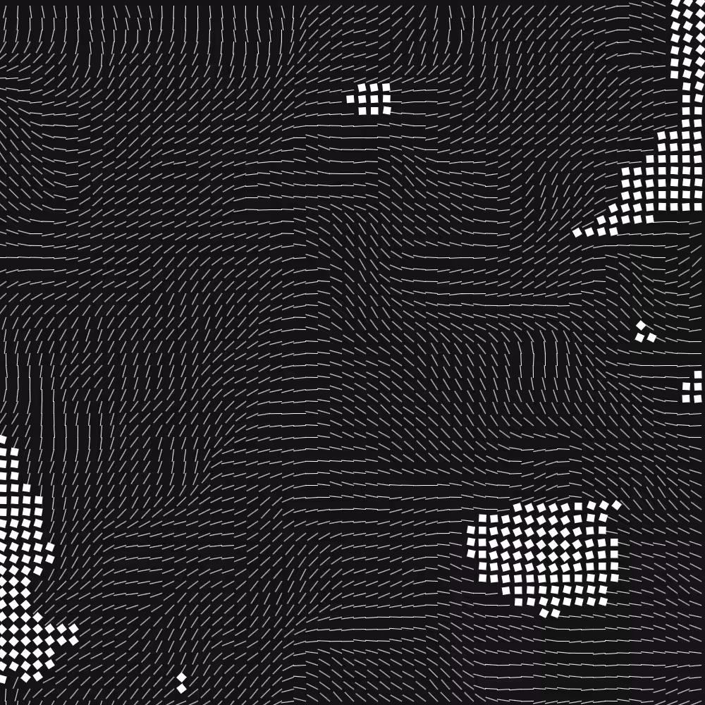 Geometric Fluidity #956