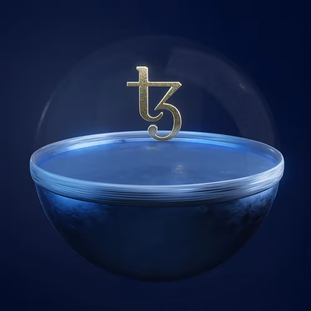 ECHO-BALL_TEZOS