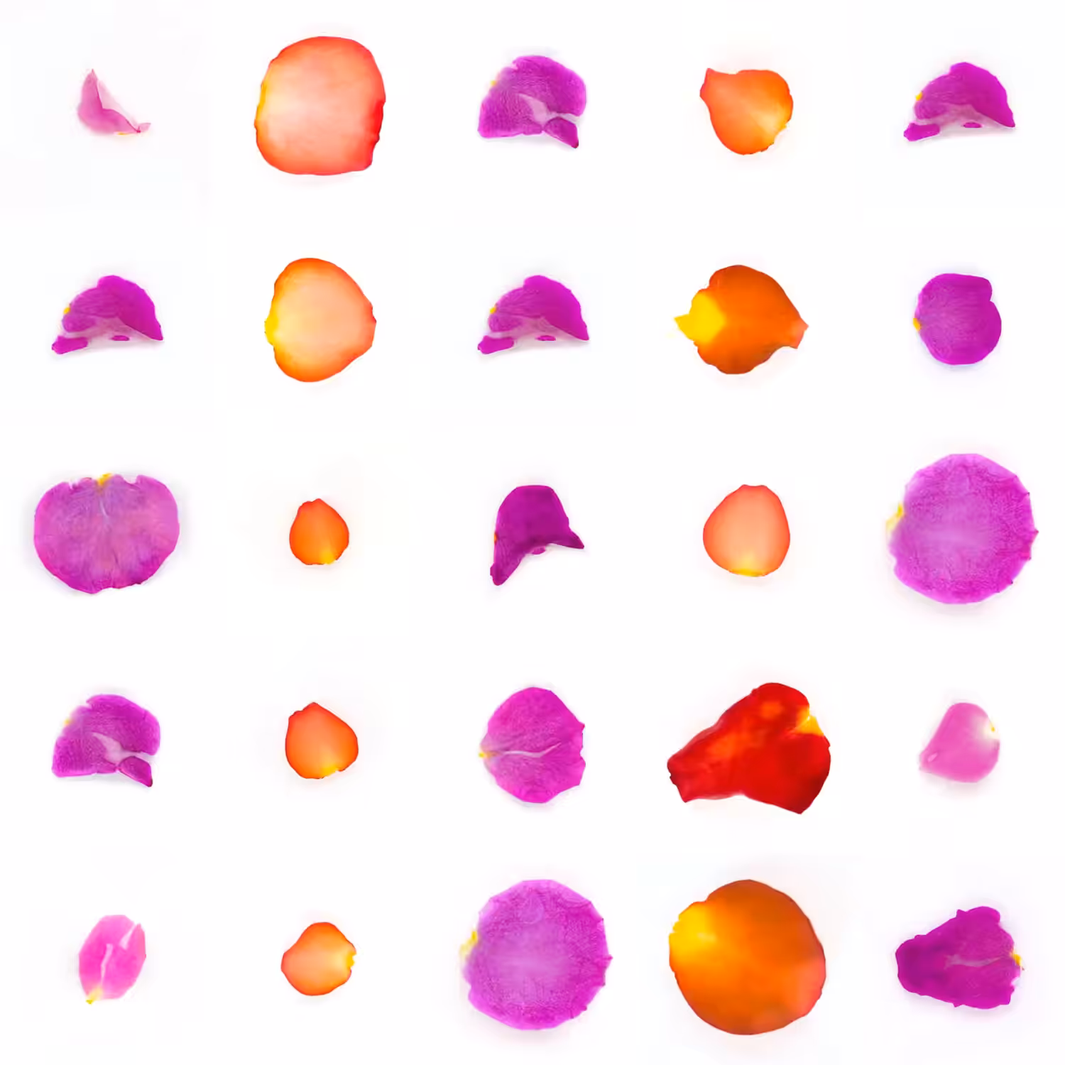 Infinite Petals 5x5#21237