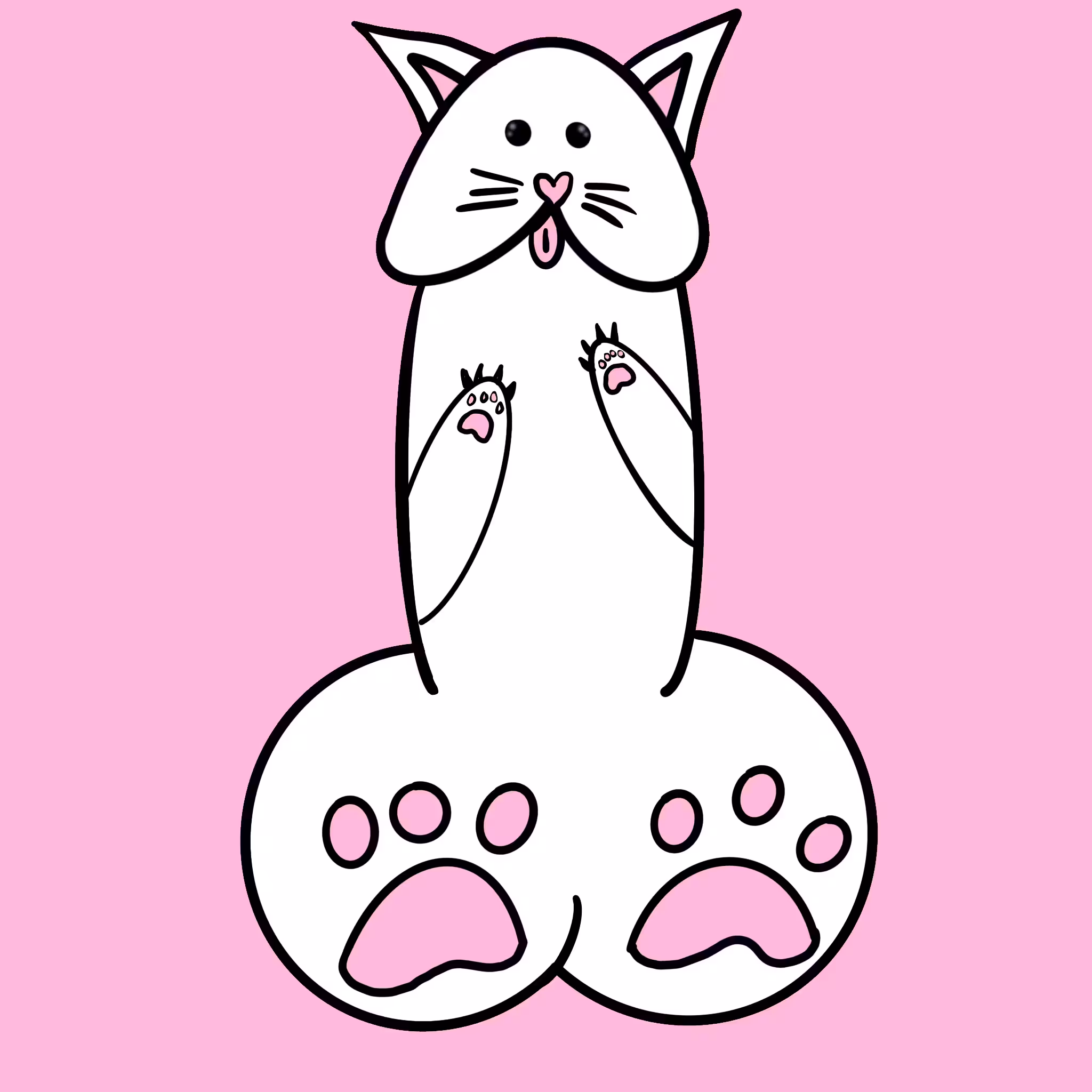 a white cat 