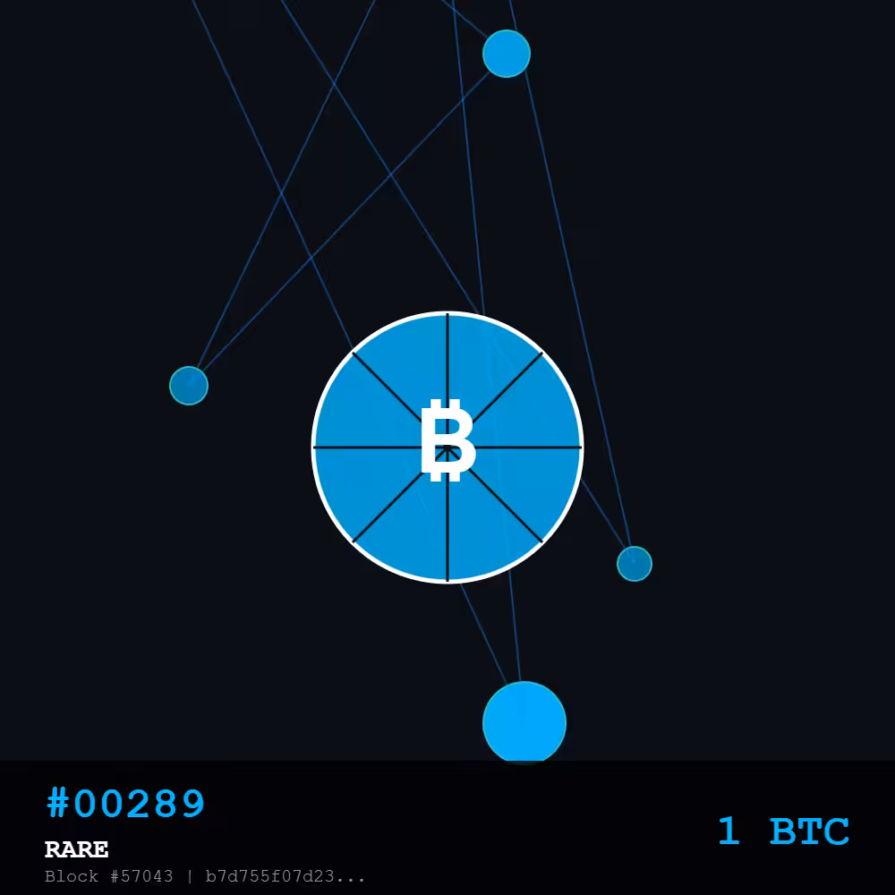 Bitcoin Pizza Genesis: 10K — RARE Edition #00289 | The Day Bitcoin Bought Pizza