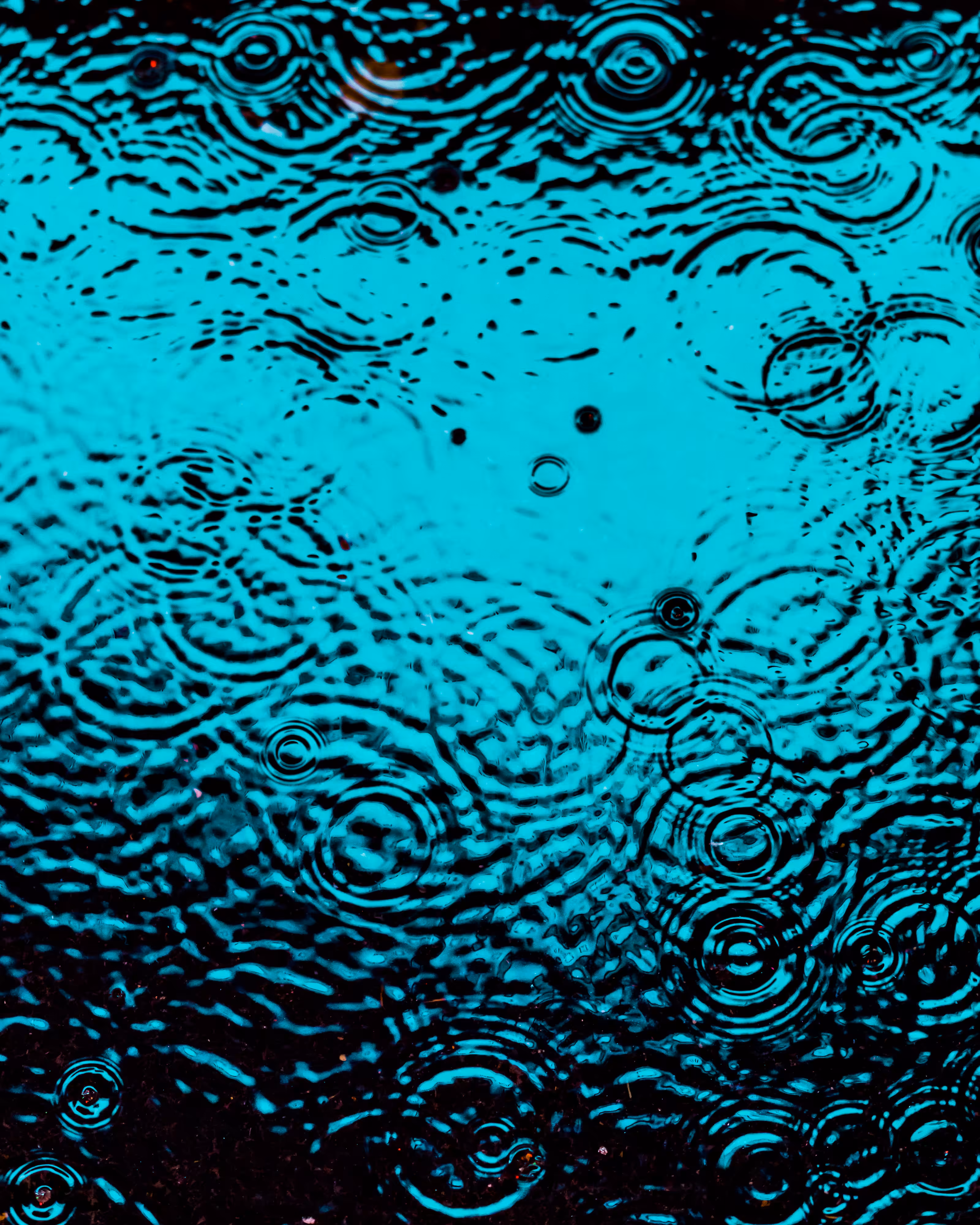 DRIP DROP: DRIP #368