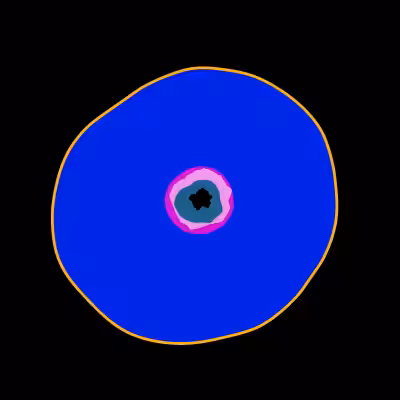 Black Hole Cell #1