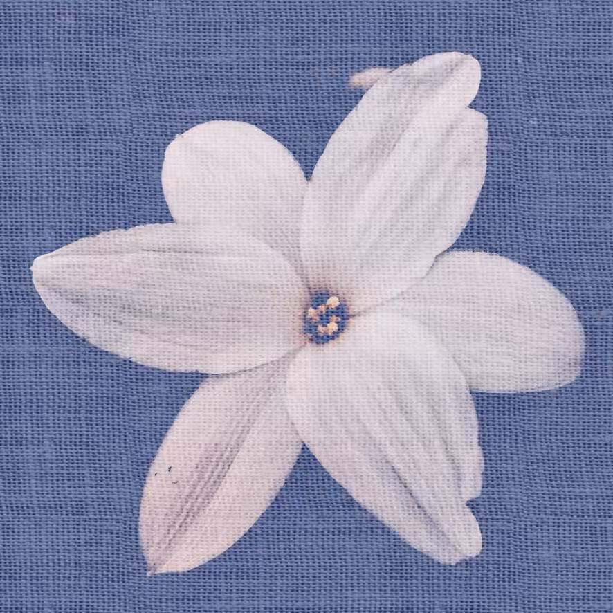 White flower