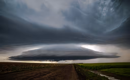 Nature's UFO