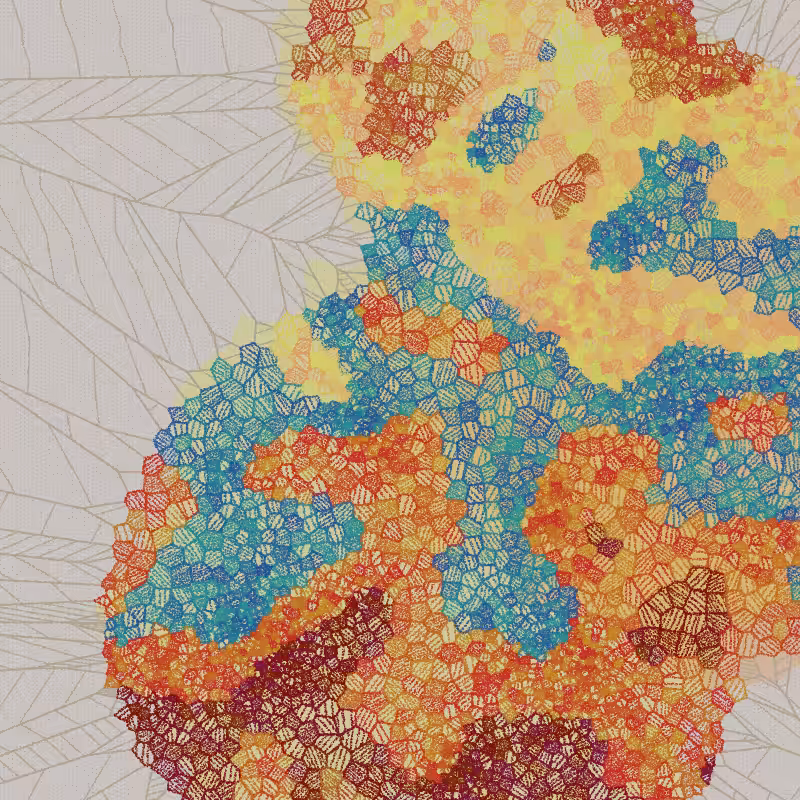 Fractured Cells #81