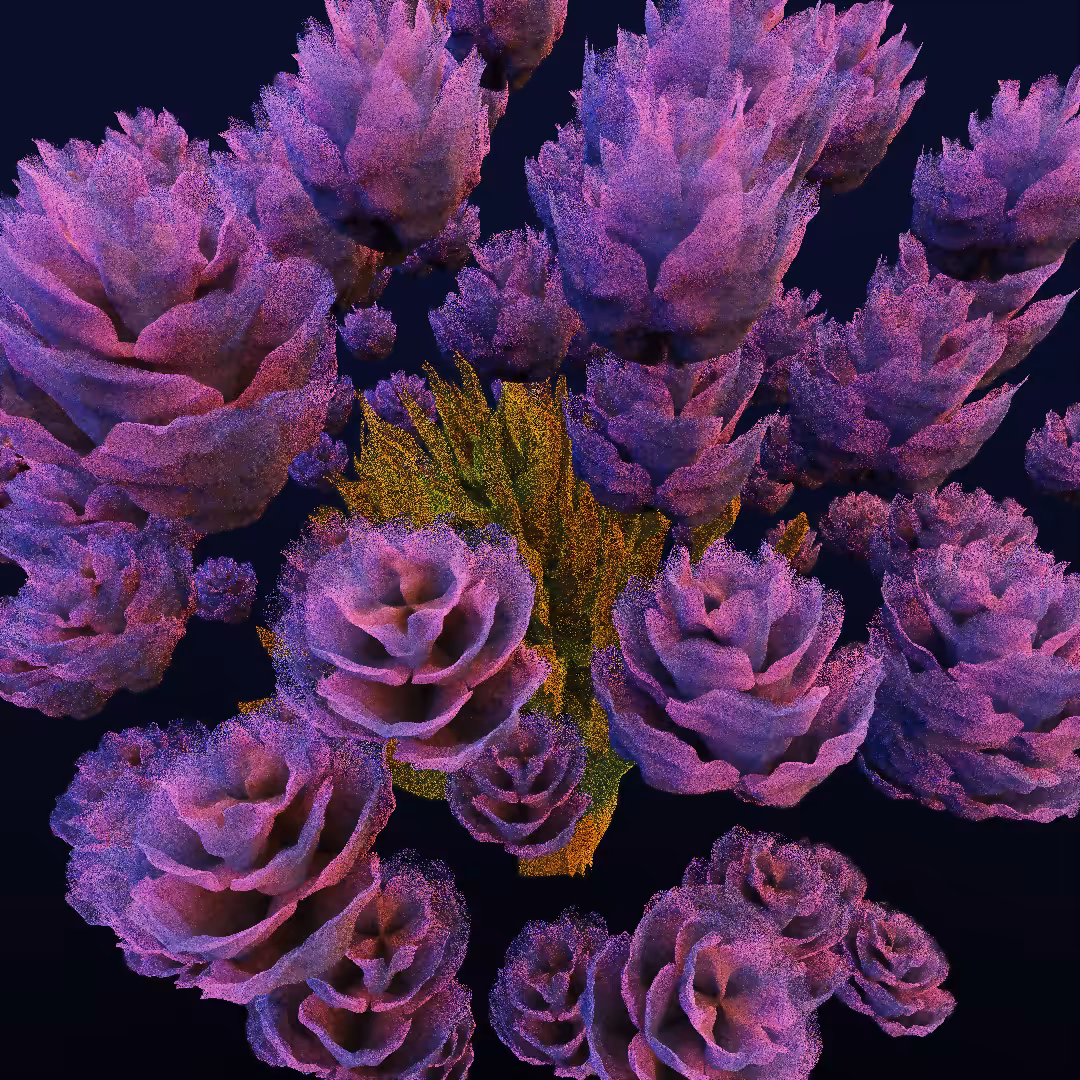 rosarium #51