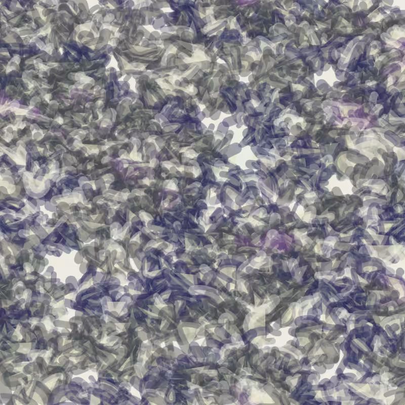 Petri 1500 #181