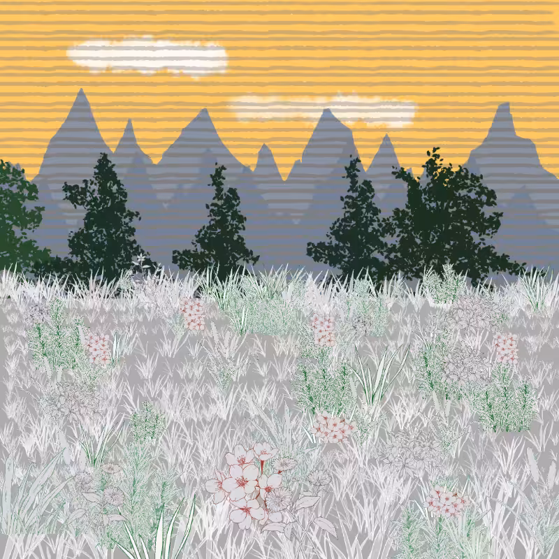 Mountain Meadows #42