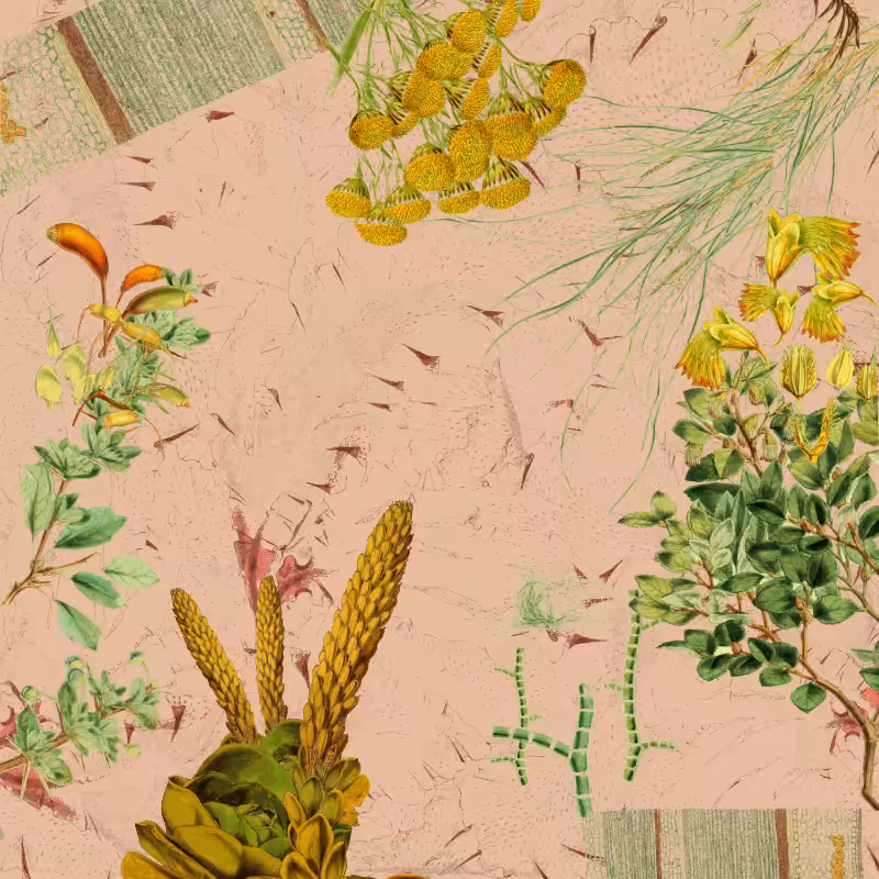 future flora from Antarctica's past #50