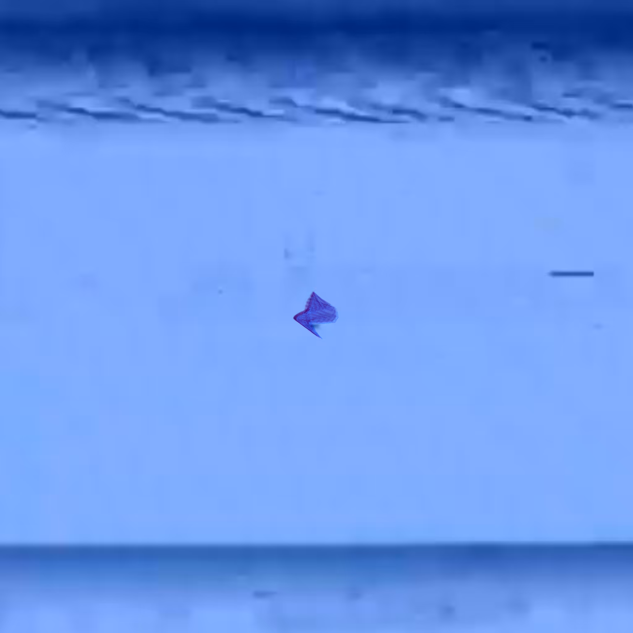 Vertex #1 #2