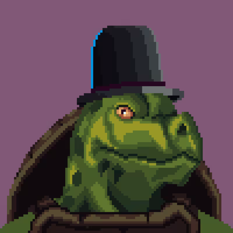 Turtles #12