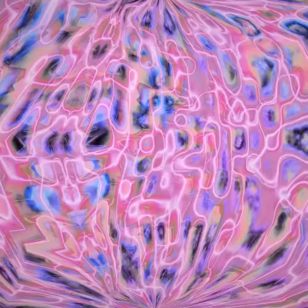 Pink Coversations 