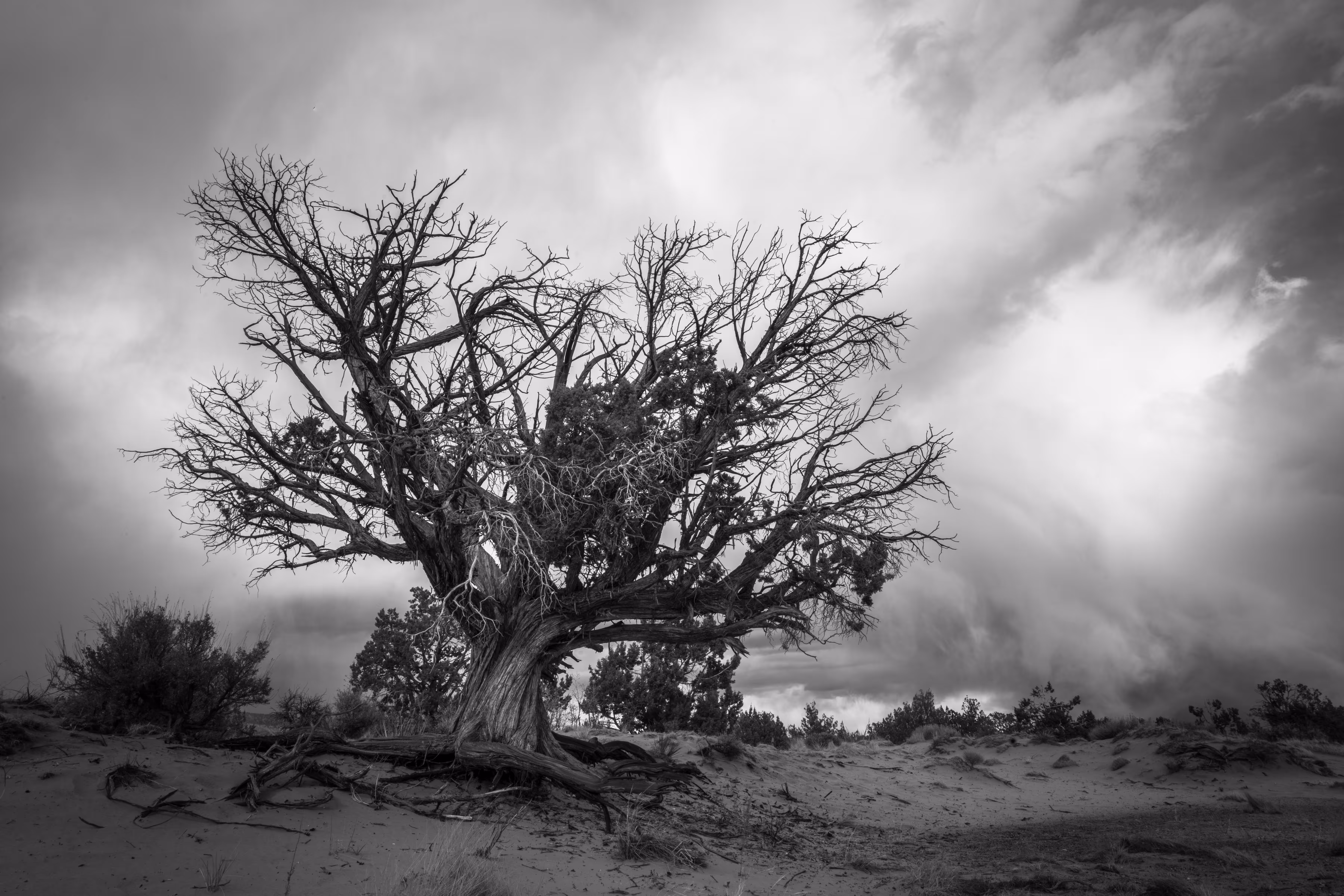 Desert Haunting