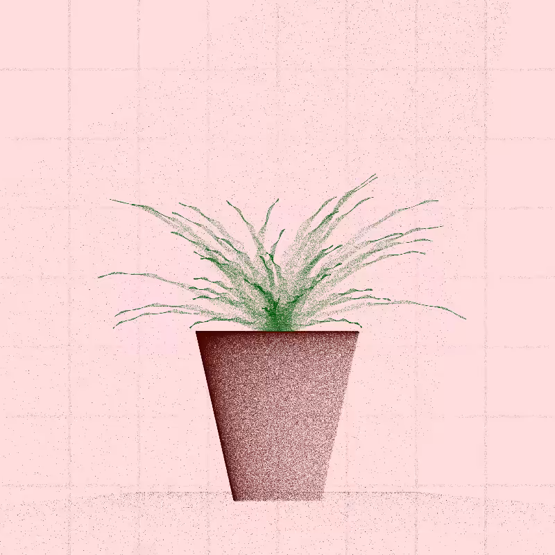 🌱 Potted & Printed #390