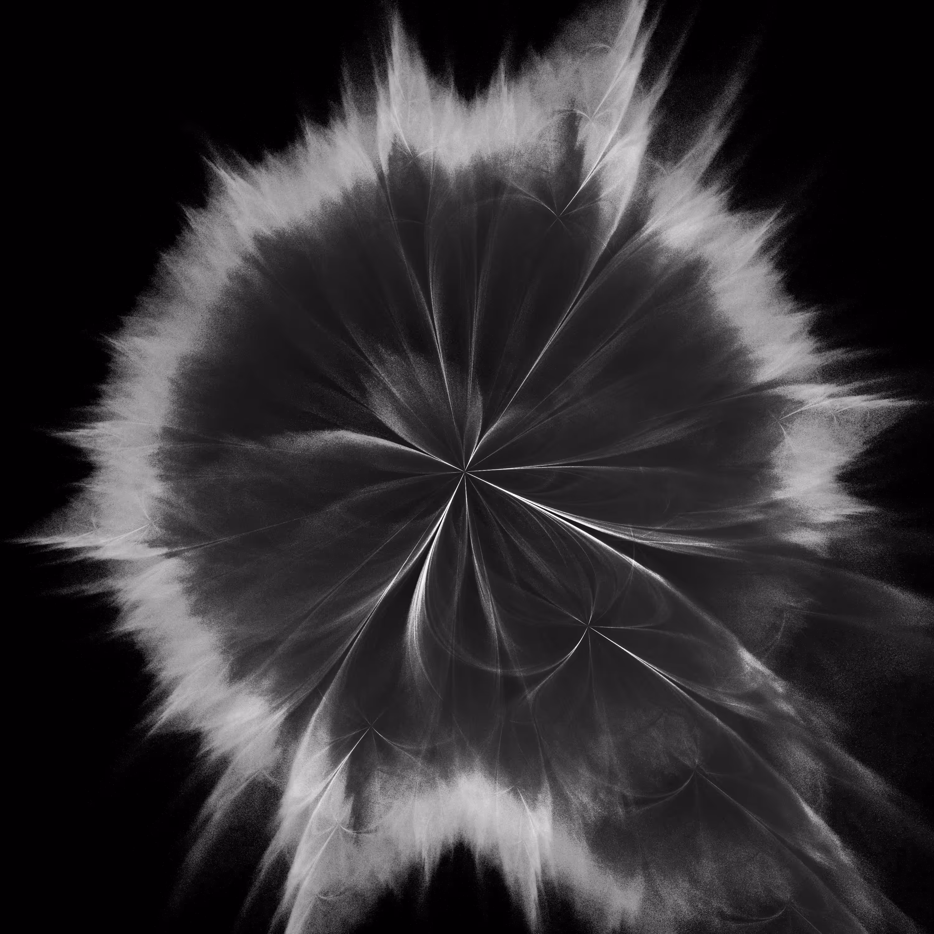 New Bloom