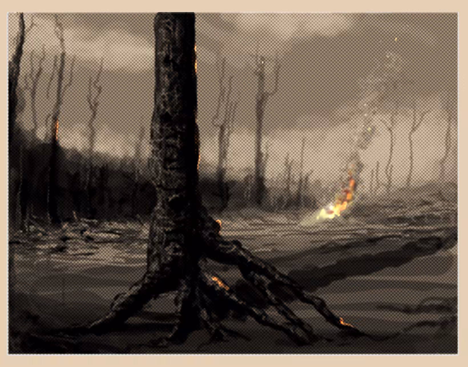 Forest Fire
